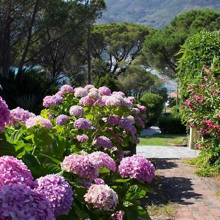 Villa Mesco Levanto Buitenkant foto